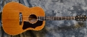 Gibson_J-50_1965(C)