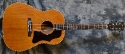 Gibson_J-50_1965(C)