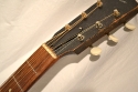 Gibson_L-1_1931(C)_Nut