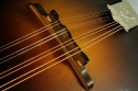 gibson_loar_a9_new_bridge_1