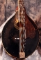 Gibson_mandola_1918_front