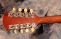 gibson_mandola_1918_head_rear1