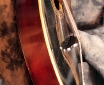 gibson_mandola_1918_topdetail1