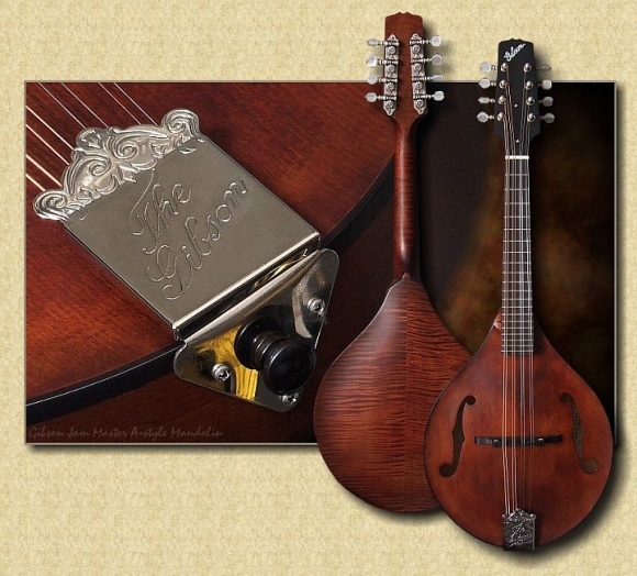 Gibson_Jam_Master_A-style_Mandolin