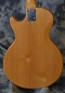 Gibson_Marauder_1976(C)_back detail