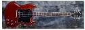 Gibson_SG Classic_2009(C)