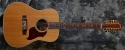 Gibson_Songbird-12C