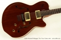 Godin Montreal Mahogany Two Voice 2011 top