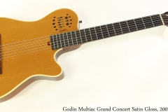 Godin Multiac Grand Concert Satin Gloss, 2002 Full Front View