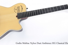 Godin Multiac Nylon Duet Ambience HG Classical Electric Full Front View
