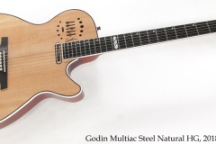 Godin Multiac Steel Natural HG, 2018 Full Front View