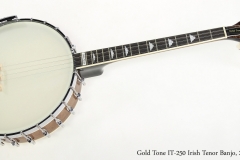 Gold Tone IT-250 Irish Tenor Banjo, 2016   Full Front View