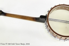 Gold Tone IT-250 Irish Tenor Banjo, 2016   Full Rear View