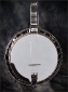 Goldstar_1952_Banjo_Top