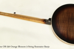 Gold Tone OB-250 Orange Blossom 5-String Resonator Banjo  Full Rear View