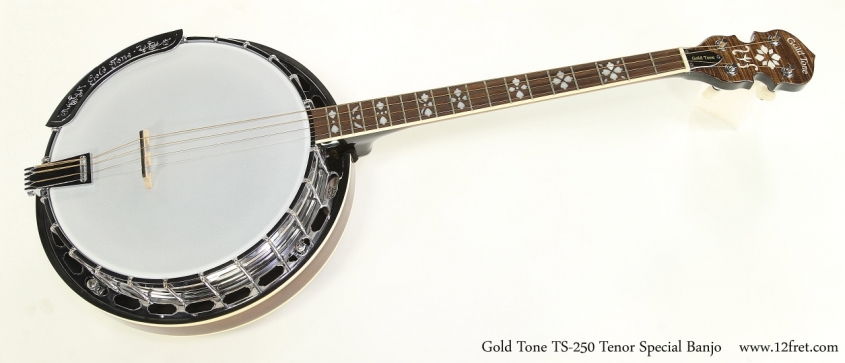 Gold Tone TS-250 Tenor Special Banjo  Full Front View
