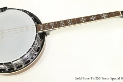 Gold Tone TS-250 Tenor Special Banjo  Full Front View