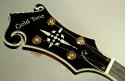 Goldtone_EBM5_Lefty_head_front_1