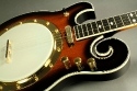 Goldtone_EBM5_Lefty_top_detail_2