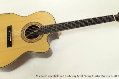 Michael Greenfield G-1 Cutaway Steel String Guitar Brazilian, 2002  Full Front View