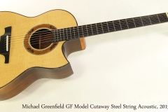 Michael Greenfield GF Model Cutaway Steel String Acoustic, 2015 Full Front View