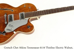 Gretsch Chet Atkins Tennessean 6119 Thinline Electric Walnut, 1966 Full Front View