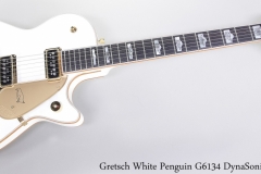 Gretsch White Penguin G6134 DynaSonic, 2004 Full Front View