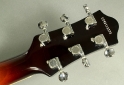 Gretsch_g3900_lh_2005_cons_head_rear_1