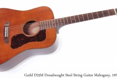 Guild D25M Dreadnought Steel String Guitar Mahogany, 1974 Full Front View