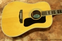 Guild D55NT Natural Dreadnought 1980 top