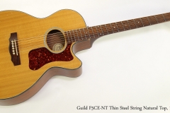 Guild F5CE-NT Thin Steel String Natural Top, 1996 Full Front View