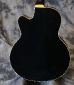 Guild_Bluesbird M-75 Deluxe_1969(C)_back detail