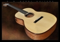 G. W. Barry Hand Built Guitars Angled Front