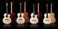 G. W. Barry Hand Built Guitars Grouping