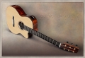 G. W. Barry Hand Built Guitars Cutaway