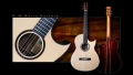 G. W. Barry Hand Built Guitars D M