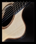 G. W. Barry Hand Built Guitars Cutaway Detail