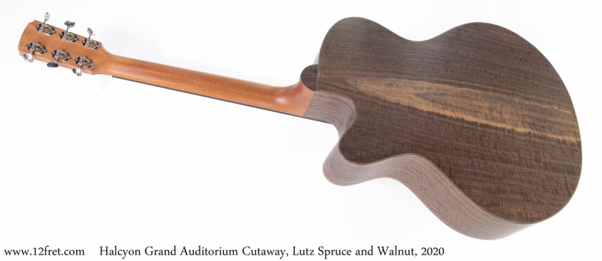 Halcyon Grand Auditorium Cutaway, Lutz Spruce and Walnut, 2020 Full Rear View