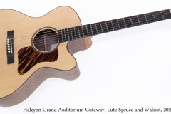 Halcyon Grand Auditorium Cutaway, Lutz Spruce and Walnut, 2020 Full Front View