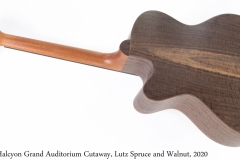 Halcyon Grand Auditorium Cutaway, Lutz Spruce and Walnut, 2020 Full Rear View