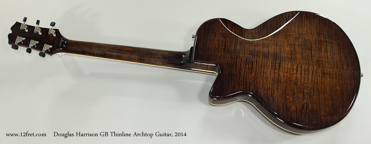 Douglas Harrison GB Thinline Archtop Guitar, 2014 Full Rear View
