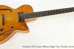 Harrison GB Custom Blister Maple Top Thinline Archtop, 2019   Full Front View