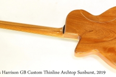Douglas Harrison GB Custom Thinline Archtop Sunburst, 2019  Full Rear View