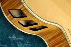 Douglas Harrison NJ Custom Archtop Guitar Natural, 2022 Soundport View