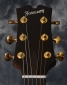 Harrison_GB-Blister-2011C_headstock