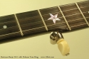 hartman-2011-dobson-ring-star-inlay-1