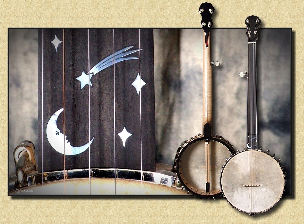 Hartman_Fretless_Banjo