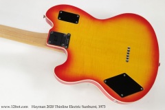 Hayman 2020 Thinline Electric Sunburst, 1973 Back View