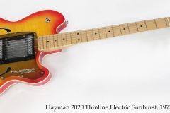 Hayman 2020 Thinline Electric Sunburst, 1973 Full Front View