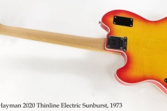 Hayman 2020 Thinline Electric Sunburst, 1973 Full Rear View